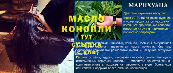 МДПВ Михайлов