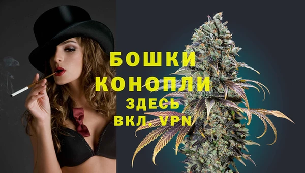 МДПВ Михайлов