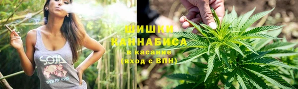 МДПВ Михайлов