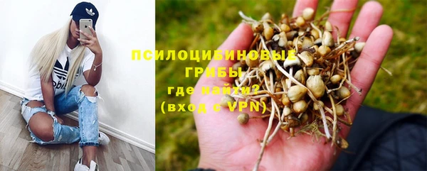 МДПВ Михайлов